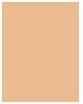 Actual product image Bourjois Healthy Mix Clean & Vegan Anti-Fatigue Concealer (52.5 Vanilla)