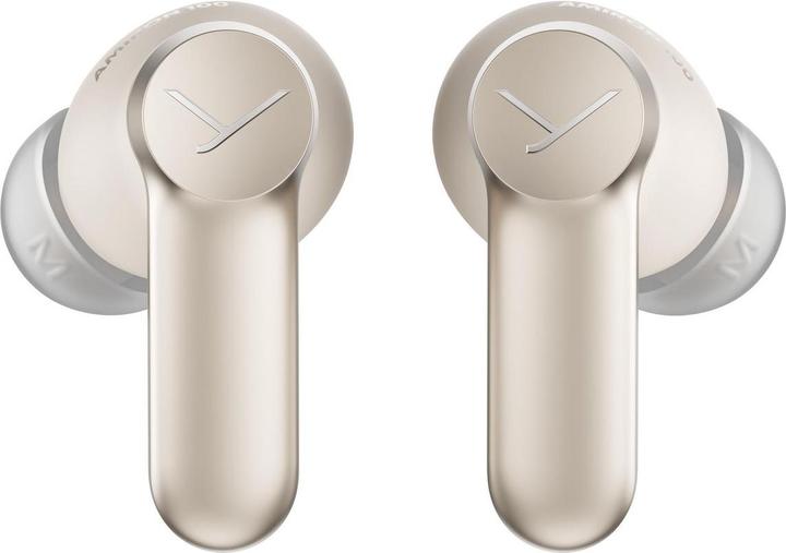 Image du produit Beyerdynamic Amiron 100 (ANC, 6 h, Sans fil)