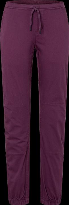 Actual product image Black Diamond Notion Climbing Pants (S)