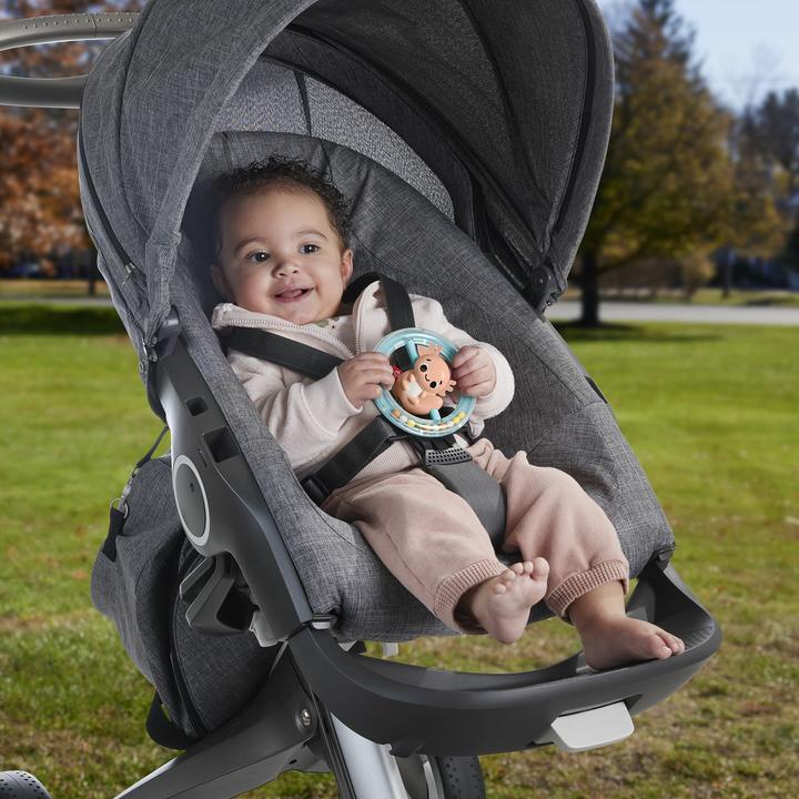 Actual product image Fisher-Price Toy collection for babies with animal motifs, teething ring, rattle and clacker toy for newborns