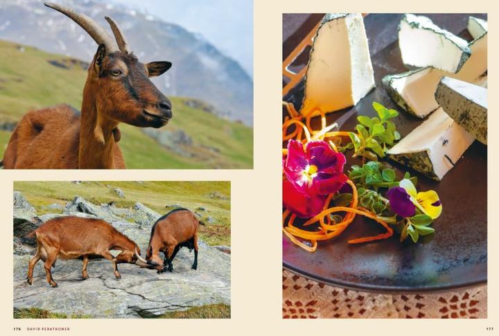 Produktbild Südtirol: Die junge Bergküche (Deutsch, Udo Bernhart, Herbert Taschler, 2021)