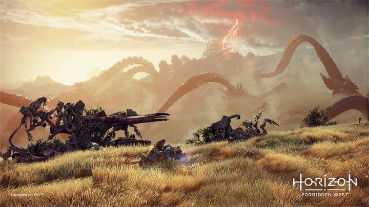 Actual product image Sony Horizon Forbidden West (PS5, EN)