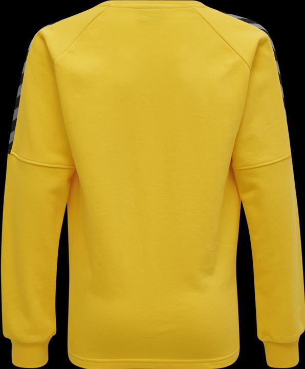 Actual product image hummel Authentic Kids Training Sweat (152)