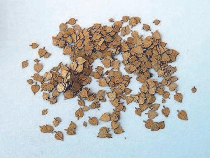 Immagine prodotto Plus Model Fogliame di tiglio
