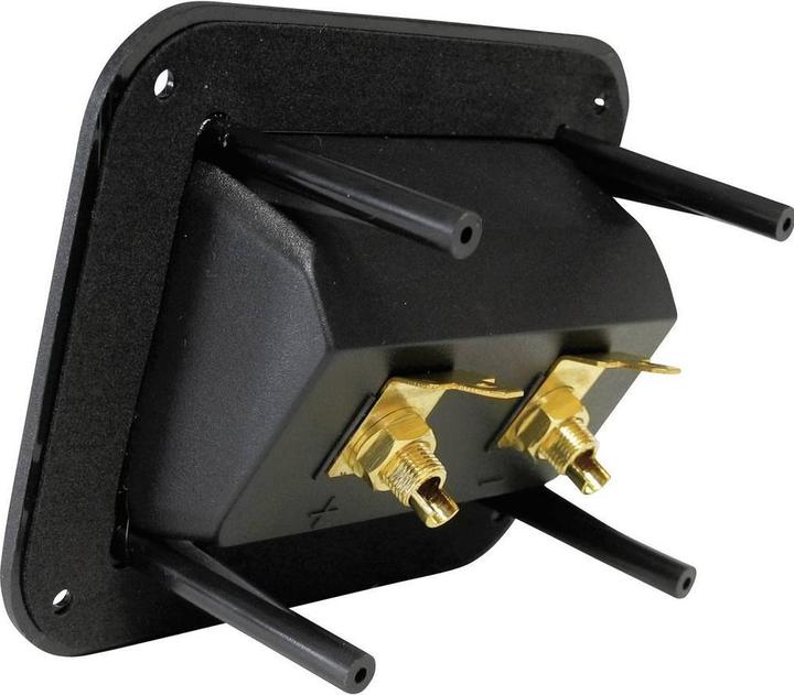 Actual product image No Name Speaker screw connection 204610 1 pc.
