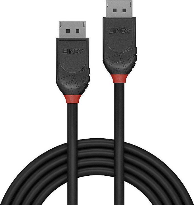 Actual product image Lindy DisplayPort — DisplayPort (3 m, DisplayPort)
