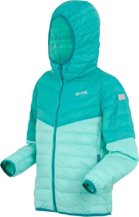 Actual product image Regatta Childrens/Kids Hillpack III Hooded Jacket (170, 176)