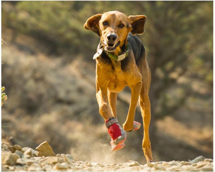 Image du produit Ruffwear Grip Trex 2 Paare Hundeschuhe (L, Chaussures pour chien)