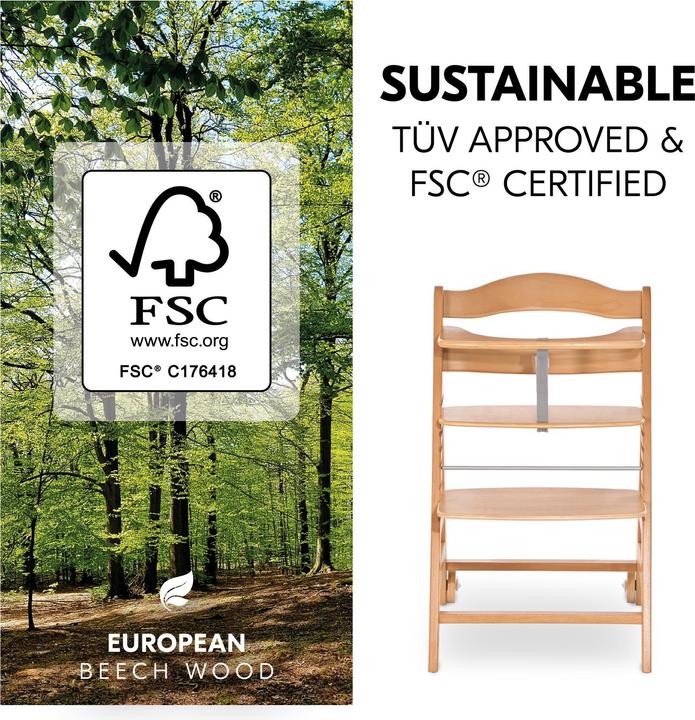 Actual product image Hauck Beta+ (Highchair)