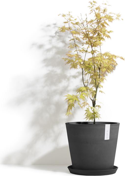 Image du produit Ecopots Amsterdam (40 cm)