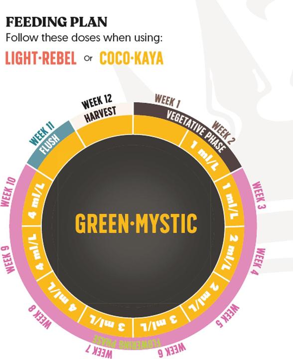 Actual product image BioBizz JuJu Royal Green Mystic 250ml (0.30 kg, 0.25 l)