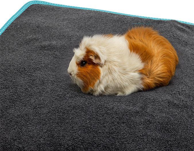 Actual product image Bunny Easy (0.35 kg, Bedding)