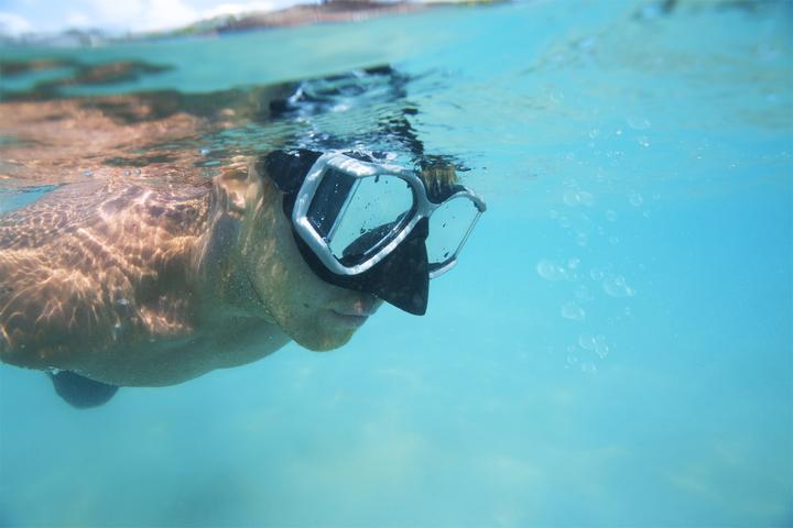 Image du produit Bestway 22060, Adult, Half face mask, Freediving, Multicolour, 14 yr(s), 301 g