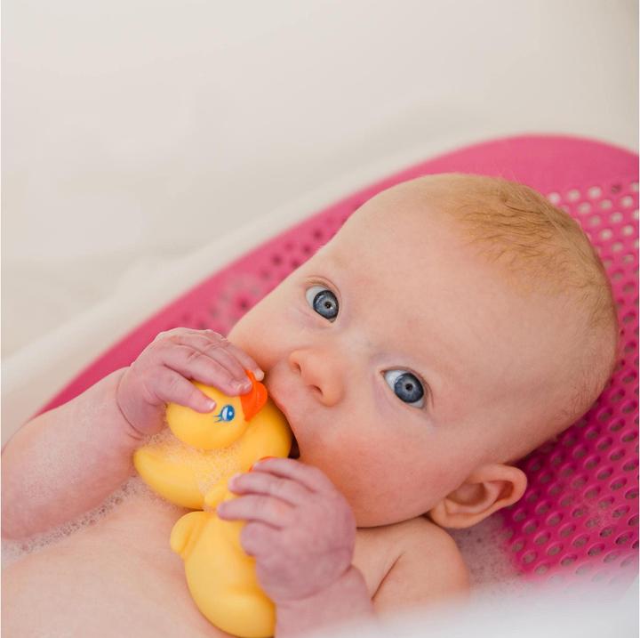 Actual product image Playgro Duck family