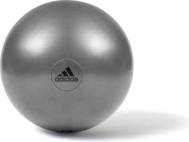Produktbild adidas Gymnastikball (55 cm)