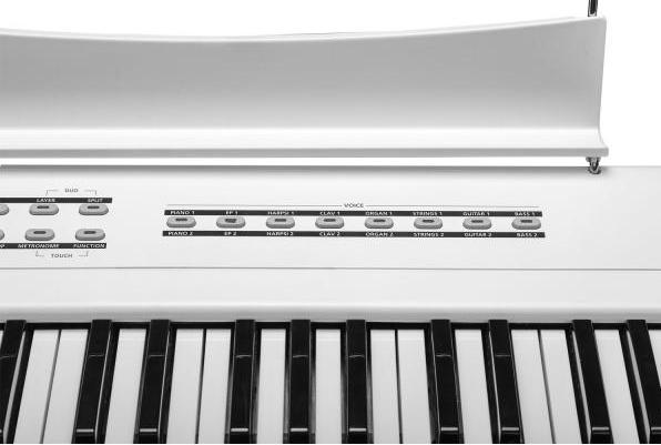 Produktbild Kurzweil Stage Piano KAS1-WH 88 Tasten (88 Tasten)