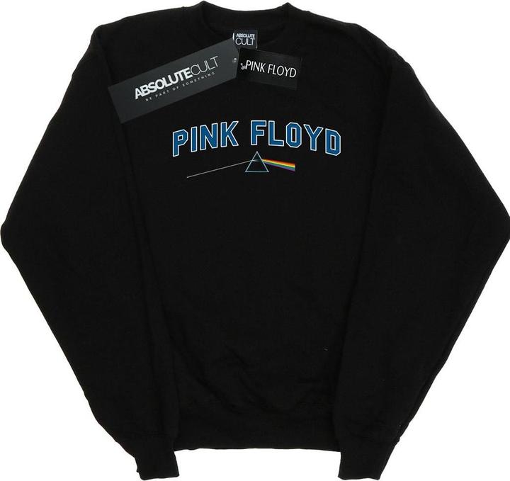 Actual product image Pink Floyd Womens/Ladies College Prism Sweatshirt (L)