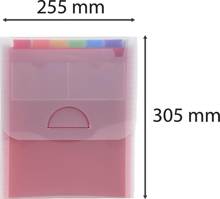 Actual product image Exacompta Crystal fan folder A4 vertical (A4, 1 x)