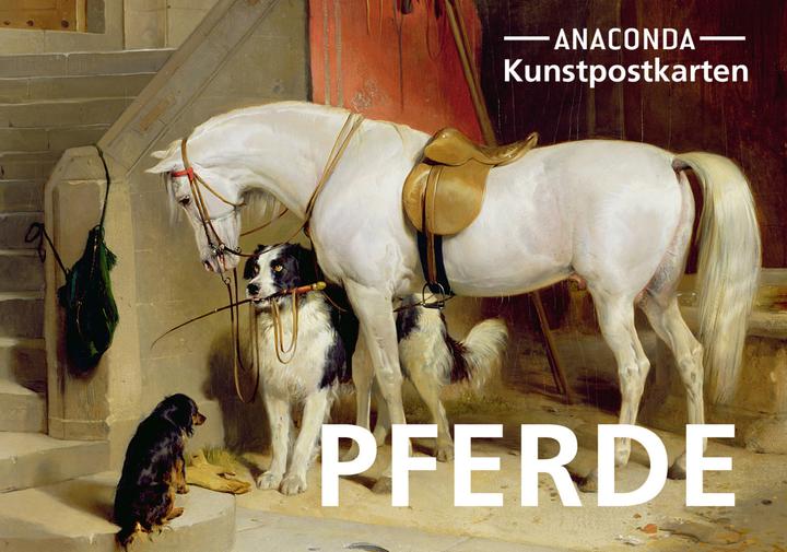 Produktbild Postkarten-Set Pferde (20 Stk.)