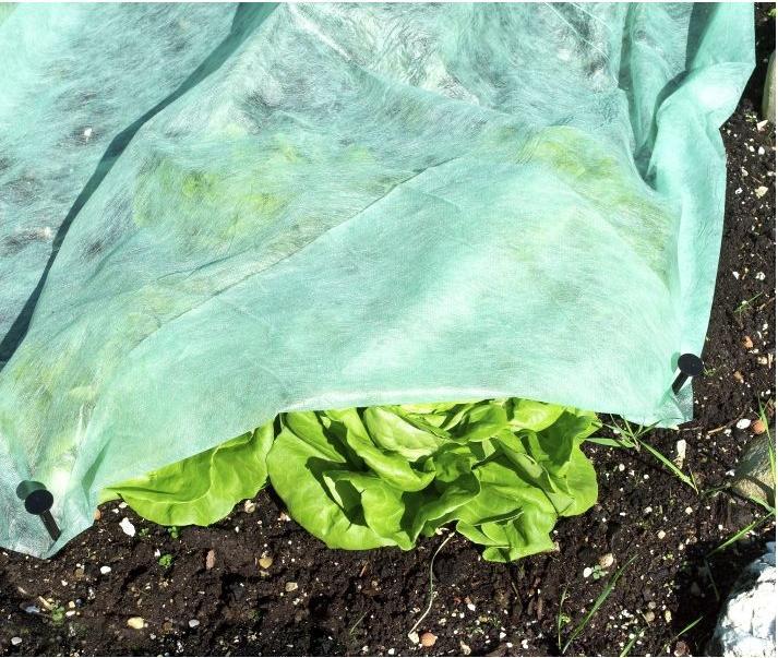 Actual product image Windhager Supergrow