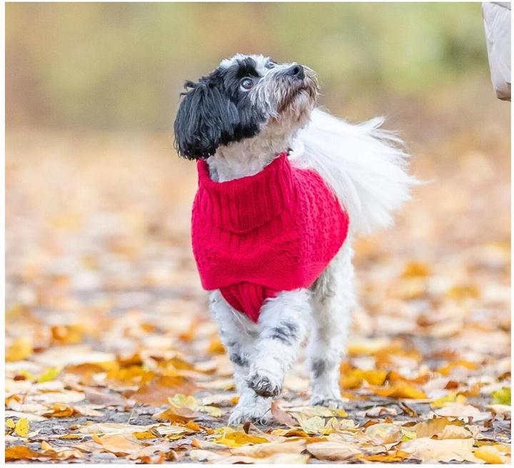 Image du produit Trixie Pull Norwood XXS, 21 cm, Rouge (Pull-over pour chien)