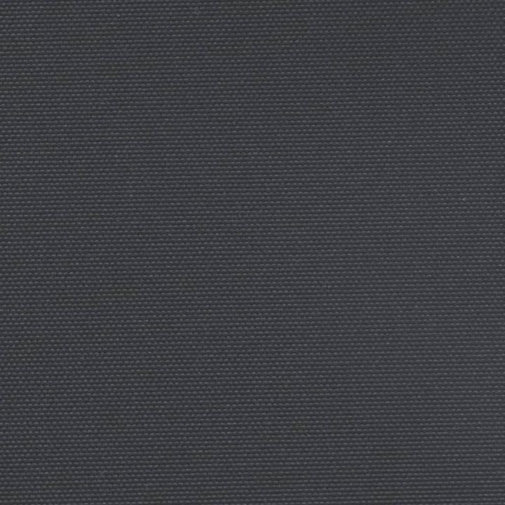 Actual product image VidaXL Extendable side awning (1.80 m)