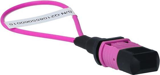 Actual product image BlueLAN BlueOptics Loopback Adapter MPO/MTP Multimode OM4