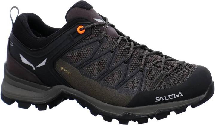 Actual product image Salewa Mountain Trainer Lite GORE-TEX (47)
