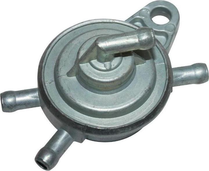 Actual product image P2R 50 Chinois 2T