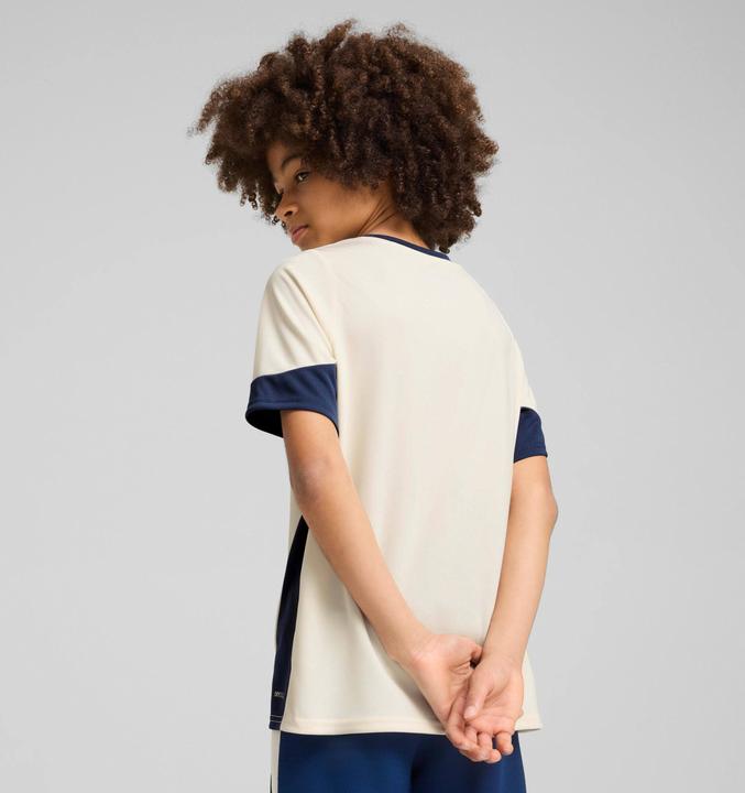 Image du produit Puma FPF Training Jersey Jr (140)