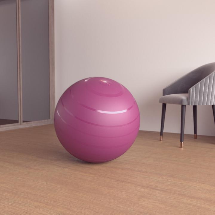 Actual product image Domyos Swiss Ball Basic (65 cm)