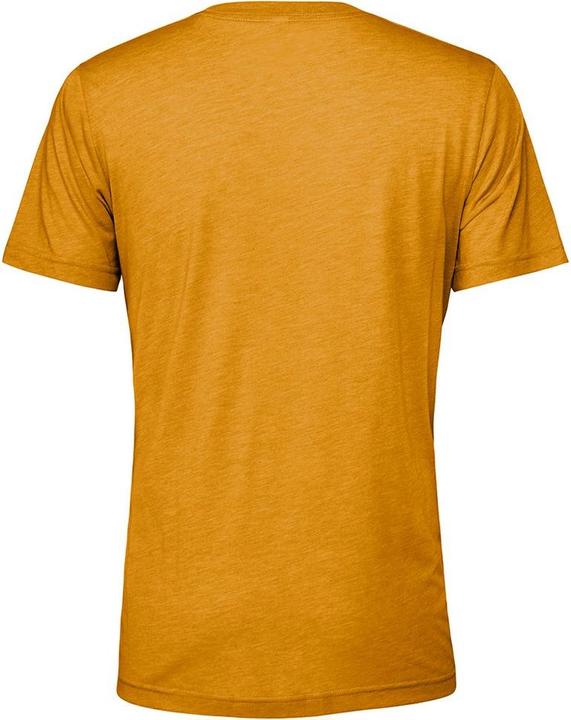 Immagine prodotto Bella Canvas Tshirt Triblend per adulti (L)