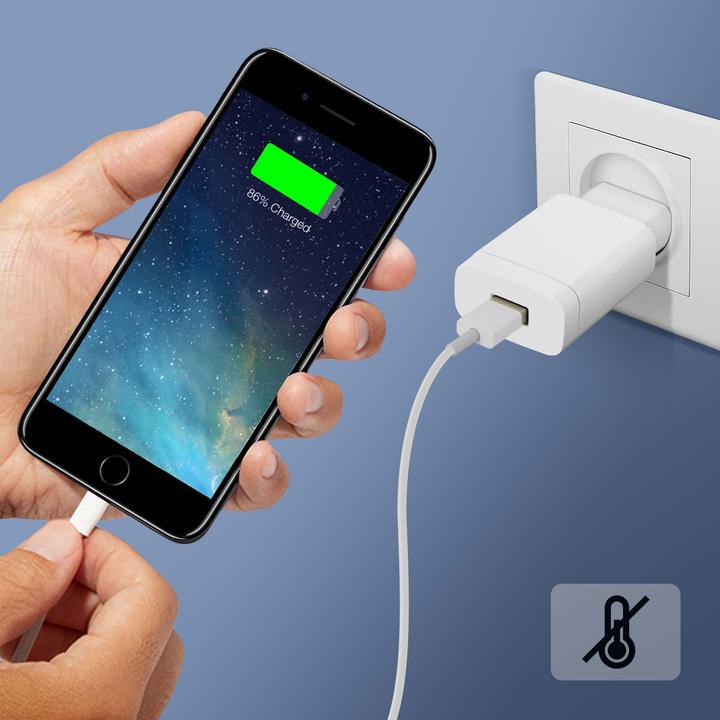 Actual product image Avizar 2A wall power supply (18 W)