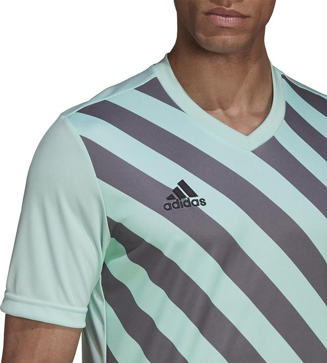 Actual product image adidas Entrada 22 Graphic Jersey (M)