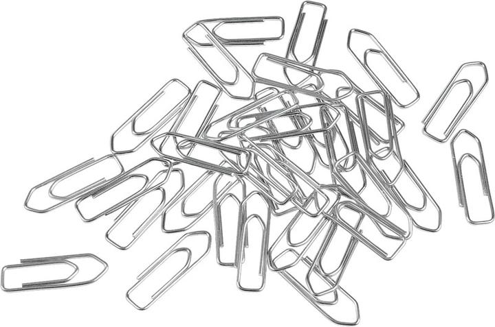Actual product image Q-Connect Paper clips (100 x)