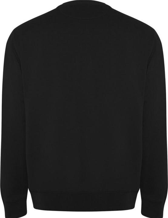 Produktbild Alpinia Batian Sweatshirt Rundhalsausschnitt (XL)