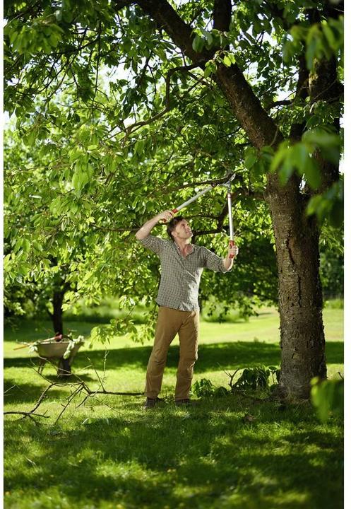 Actual product image Wolf-Garten Branch shears
