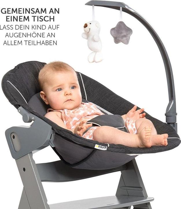 Actual product image Hauck Highchairs Alpha Plus Grey Newborn Set Deluxe - 4-piece highchair (Highchair)
