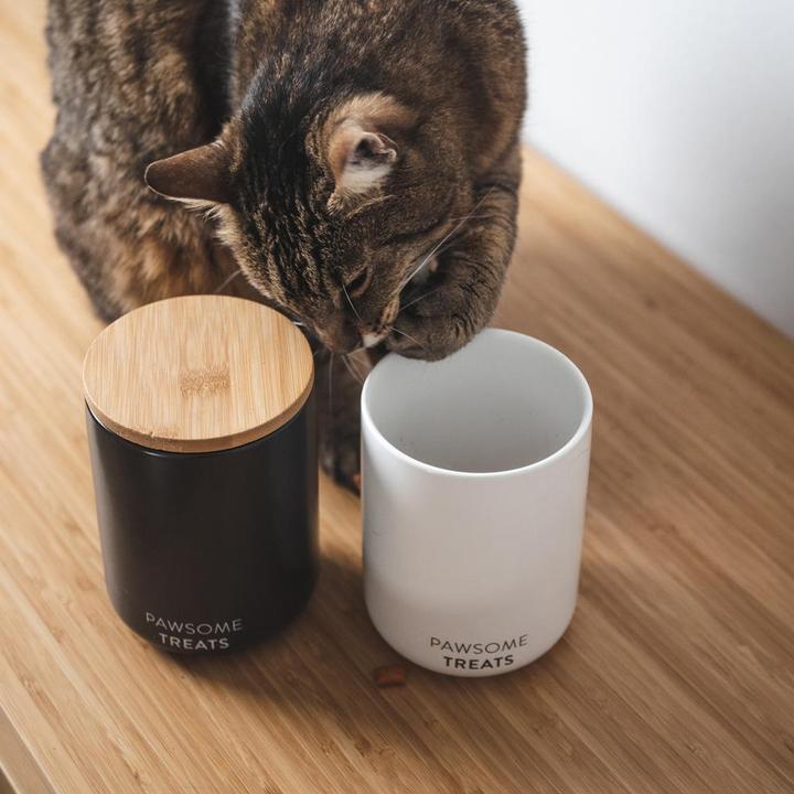Produktbild LucyBalu SNACK BAR Katzenfutter- & Leckerlidose