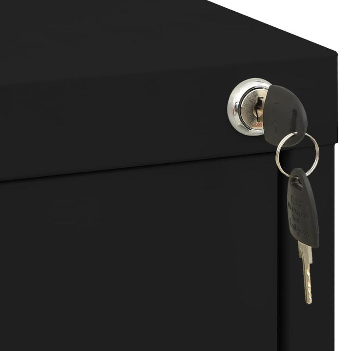 Actual product image VidaXL Aktenschrank (46 x 62 x 72.5 cm)