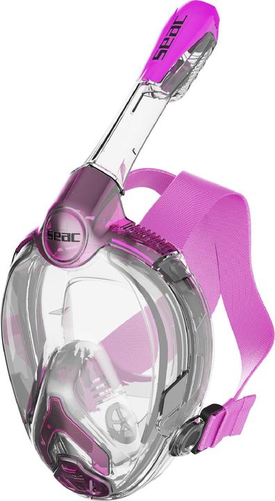 Rose, Transparent