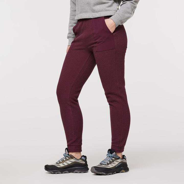 Cotopaxi Abrazo Fleece Jogger