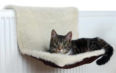 Actual product image Trixie Prince (Cat)