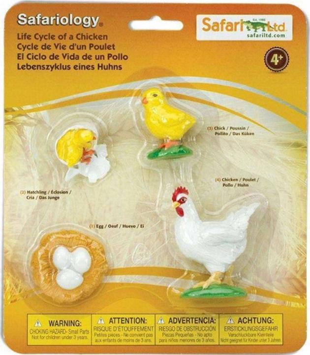 Immagine prodotto Safari Ciclo di vita di un pollo