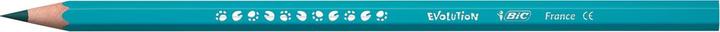 Image du produit Bic Evolution Class Pack Crayons de couleur (Multicolore, 288 x)