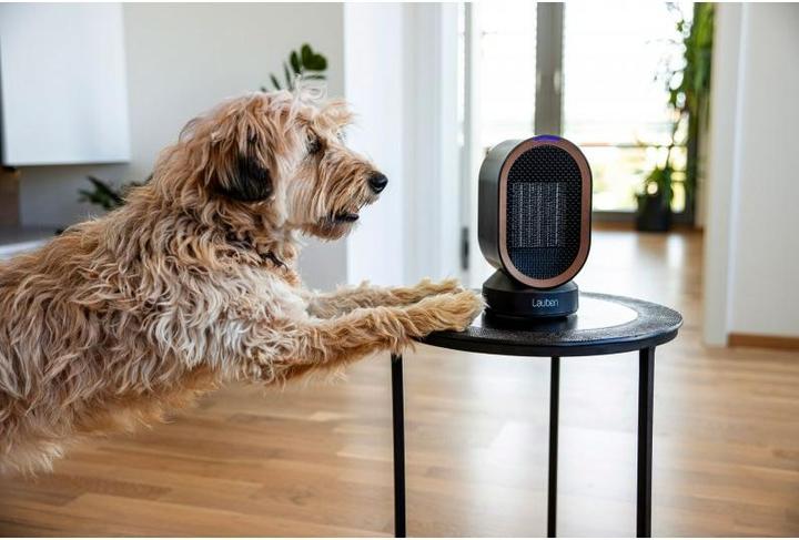 Image du produit Lauben Ventilateur de table & chauffage 2en1 600BB LBHFMDFH60BBA