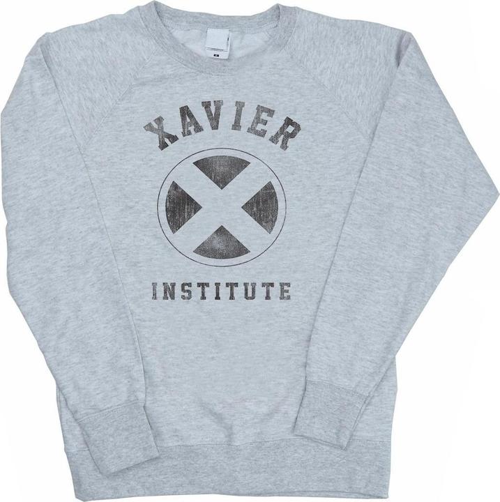 Actual product image Womens/Ladies X-Men Xavier Institute Sweatshirt (S)