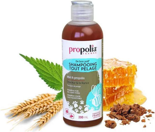 Image du produit Propolia Cats & Dogs shampoing tout pelage pelage (Chat, Chien, 200 ml)