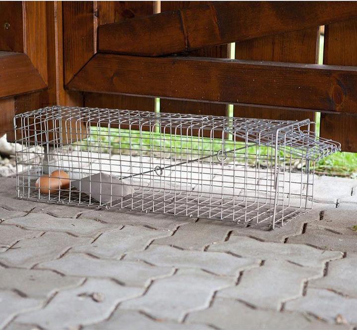 Actual product image Windhager Marten Traps