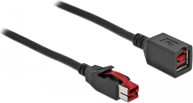 Immagine prodotto Delock Cavo di estensione USB alimentato (3 m)